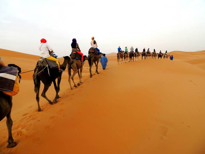 One-Night Camel Trek in Merzouga