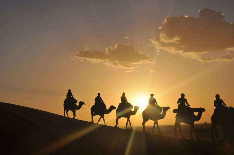 Erg Chebbi Sunset Camel Trek