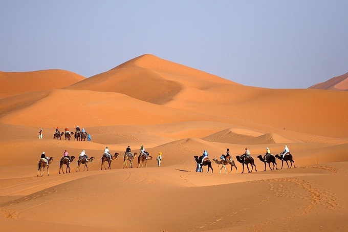 Camel caravan crossing the Erg Chebbi dunes